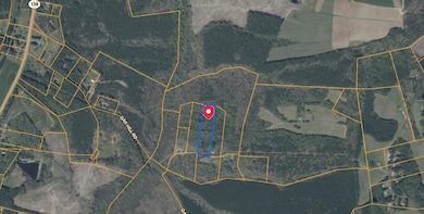 0 Ellis Ln, Kenbridge, VA 23944 - photo 2