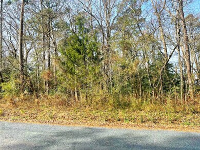 Lot 23 Sandpiper Ln unit 23, Atlantic, VA 23303 - photo 6