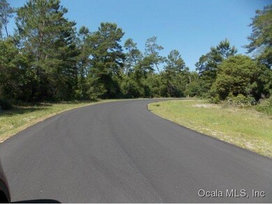 0 SW 161 Loop unit MFROM407947, Ocala, FL 34473 - photo 2