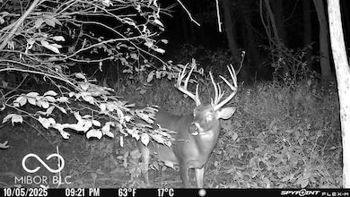 5635 Plum Creek Rd, Vevay, IN 47043 - photo 2