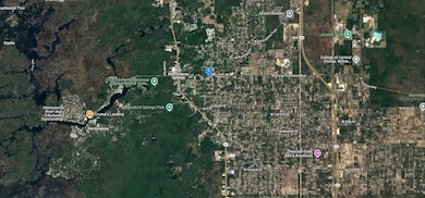 7689 W Briarpatch St, Homosassa, FL 34446 - photo 4