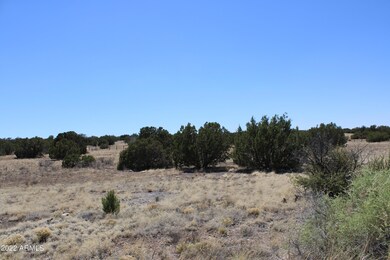 Lot 17