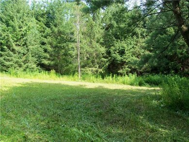 Other. small mowed clearing.