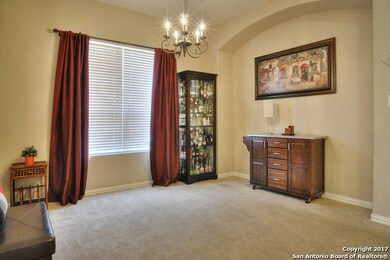 25007 Mc Bride Dr, San Antonio, TX 78255 - photo 3