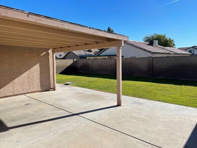 Backyard - Patio