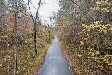 TBD Evans Chapel Rd, Sevierville, TN 37876 - photo 3