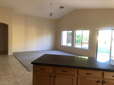 10334 E Jan Ave, Mesa, AZ 85209 - photo 3