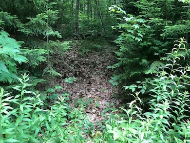 00 Skytop Dr, Newbury, NH 03255 - photo 5