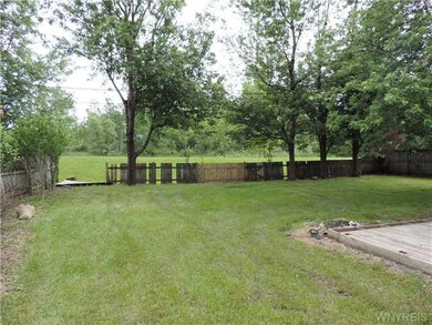Yard. The back yard.