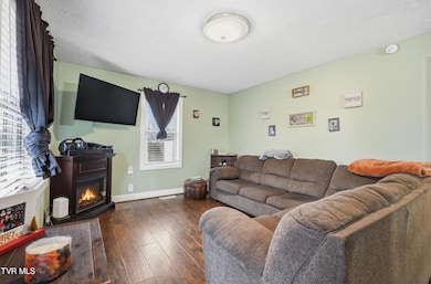 101 Buncomb Hill Rd, Jonesborough, TN 37659 - photo 4