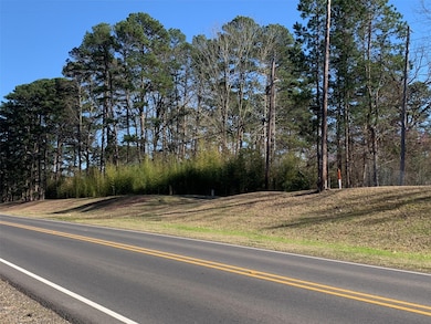 View of road