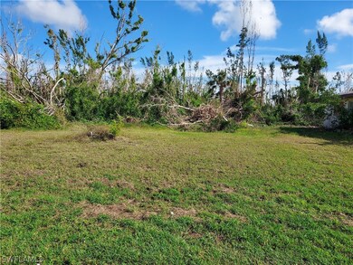 5427 Genesee Pkwy, Pine Island Center, FL 33922 - photo 3