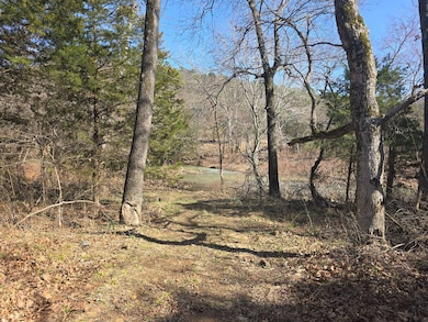 0000 W Howlite Loop, Leguire, OK 74944 - photo 6