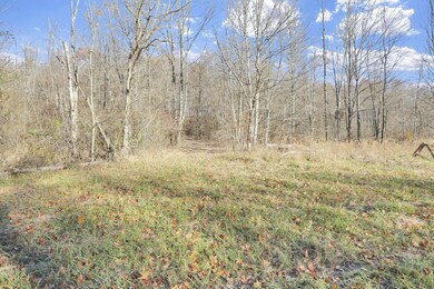 0 Mulberry Rd, Mount Perry, OH 43760 - photo 5