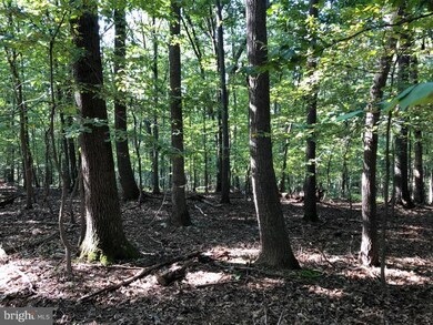 0 Old Washington Rd unit 1009928882, Eldersburg, MD 21784 - photo 5