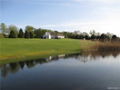 Backyard. View from Pond.