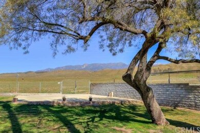 Backyard view