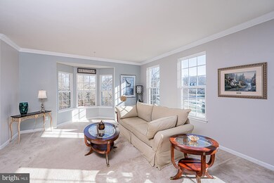 944 Magnolia Blossom Ct, Sykesville, MD 21784 - photo 4