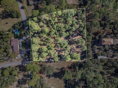 xx Piney St, Panacea, FL 32346 - photo 3