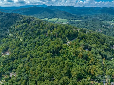 54 Split Rock Trail, Arden, NC 28704 - photo 2