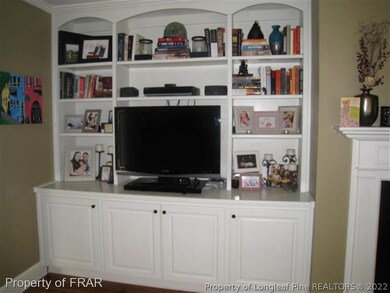 Living Room Built-ins