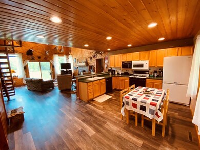 9823 Hwy 86 unit W3parcels, Tomahawk, WI 54487 - photo 4