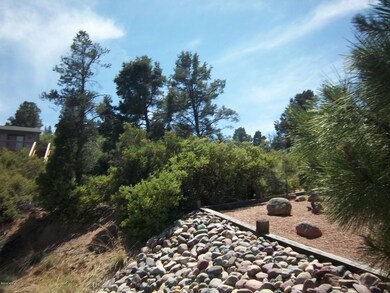 717 W Forest Dr unit 463, Payson, AZ 85541 - photo 6