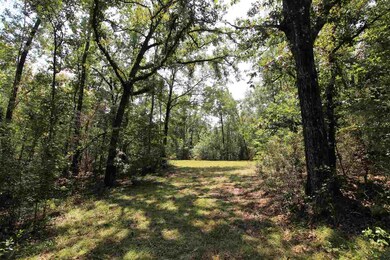 0 Wakulla Springs Hwy, Crawfordville, FL 32327 - photo 7