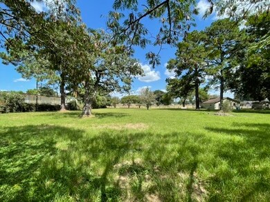 27111 Decker Prairie Rosehl Rd, Magnolia, TX 77355 - photo 6