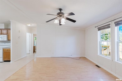 1009 N Mayor Caliper Dr, Colp, IL 62921 - photo 4