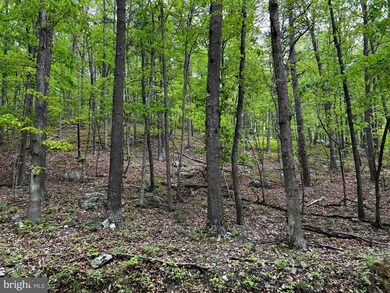 0 Dumpling Run Rd unit WVHD102062, Moorefield, WV 26836 - photo 7