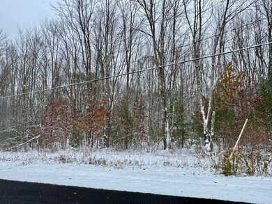 0 Preston Hill Rd, Camden, NY 13316 - photo 6