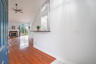 7-web-or-mls-DSC01717