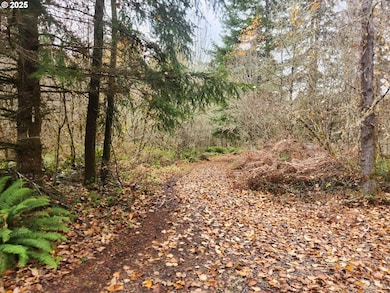 8974 Spirit Lake Hwy, Toutle, WA 98649 - photo 5