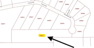 0 Colony unit 35802156, Angleton, TX 77515 - photo 3