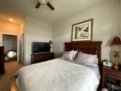 10521 Stony Bluff Dr unit 401, Ashland, VA 23005 - photo 5