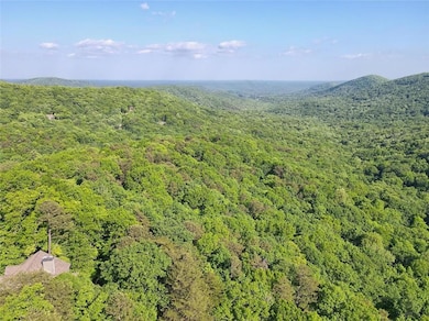 6368 Huckleberry Trail, Big Canoe, GA 30143 - photo 7