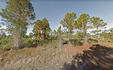 806 Worth Ave S, Lehigh Acres, FL 33974 - photo 2