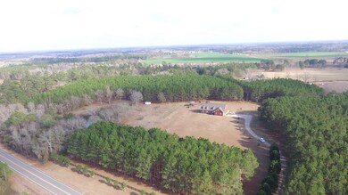 Ariel View