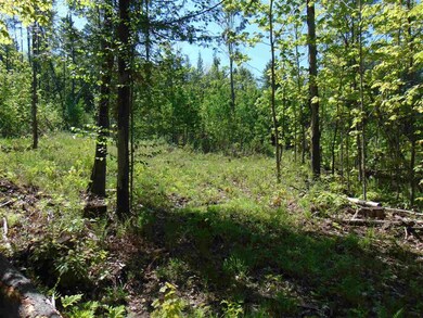 3 Old Bradley Rd unit 3, Saint Johnsbury, VT 05819 - photo 4