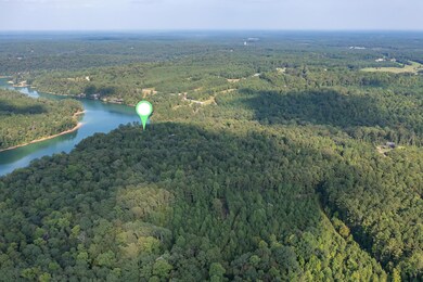 331 Quiet Cove Rd, Jasper, AL 35503 - photo 6