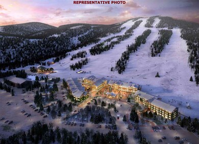 235 Skimobile Rd unit 1403, Conway, NH 03860 - photo 3