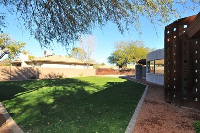 Backyard 2