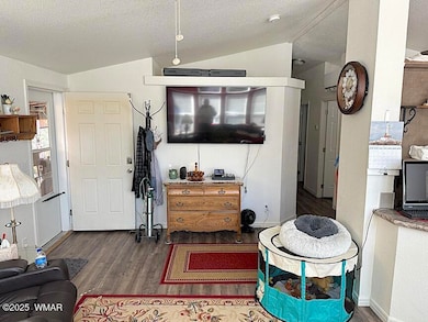 2172 Hashknife Dr, Overgaard, AZ 85933 - photo 5