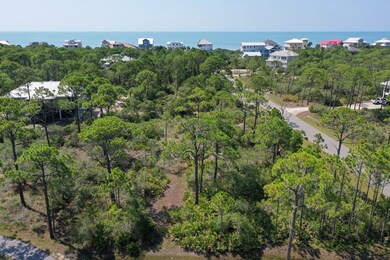 Close up aerial of the land