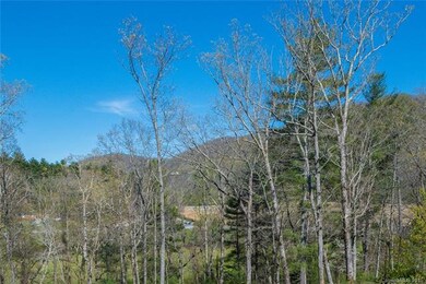 Views from homesite #29