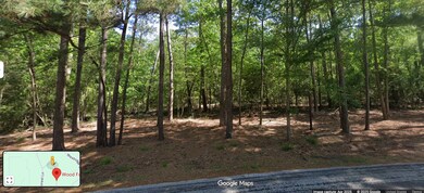 TBD Wood Forest Ln, Huntsville, TX 77340 - photo 2
