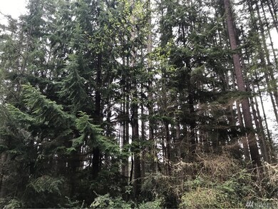 11308 Admiralty Way unit AI, Anderson Island, WA 98303 - photo 2