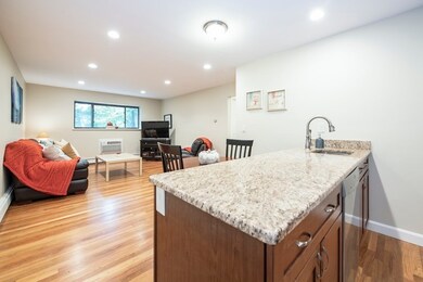 10 Riverside St unit 2-4, Watertown, MA 02472 - photo 5