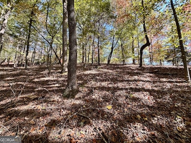 0 Forked Leaf Rd unit 29 10594626, Cleveland, GA 30528 - photo 7